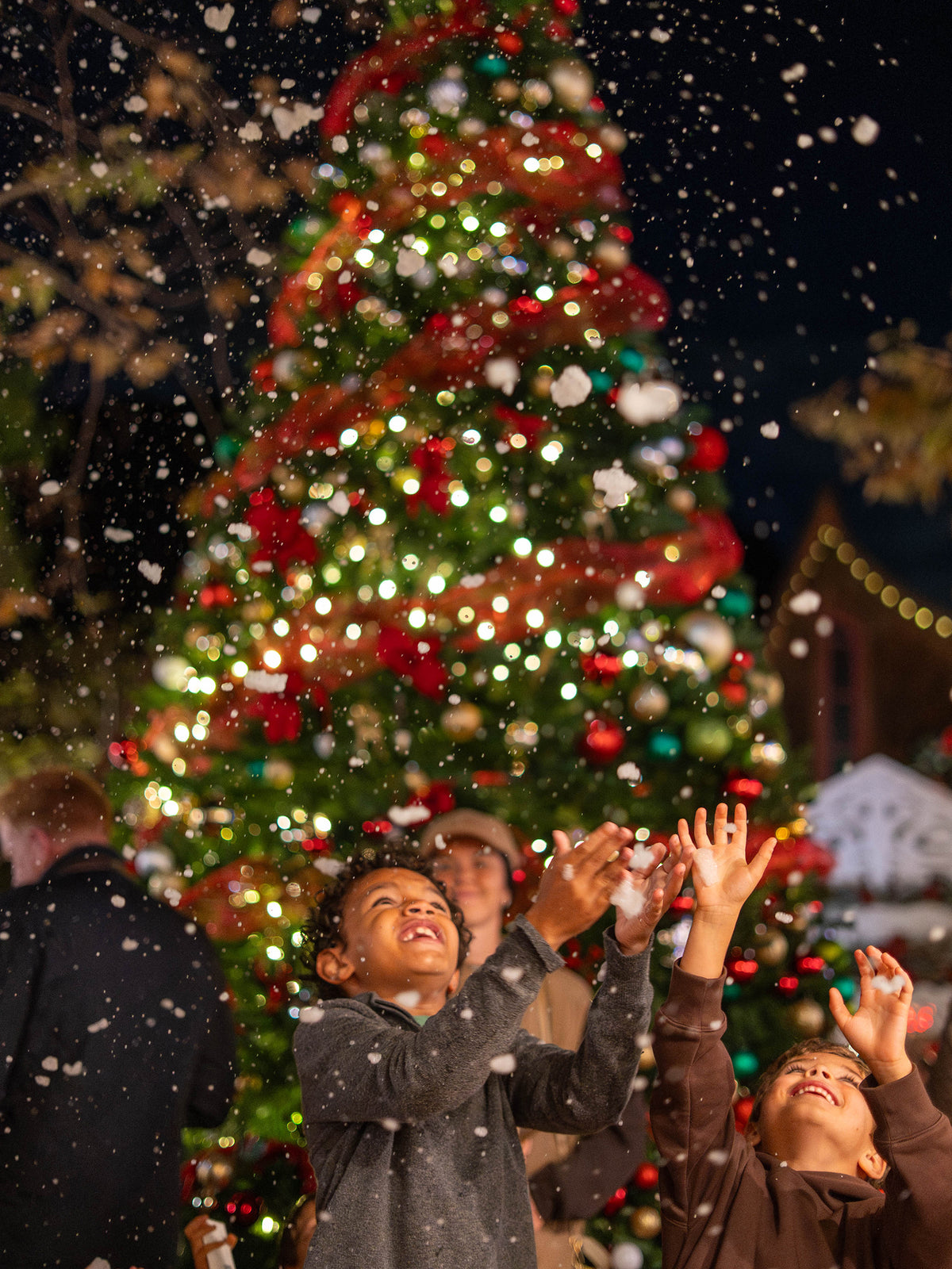2026 Single Day Ticket: Winter Fantasy